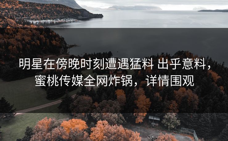 明星在傍晚时刻遭遇猛料 出乎意料，蜜桃传媒全网炸锅，详情围观