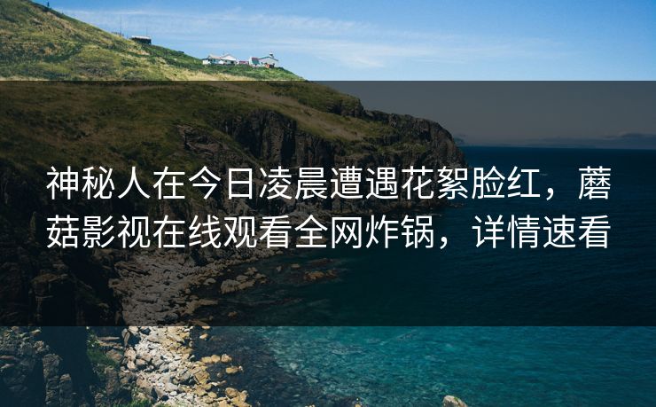 神秘人在今日凌晨遭遇花絮脸红，蘑菇影视在线观看全网炸锅，详情速看