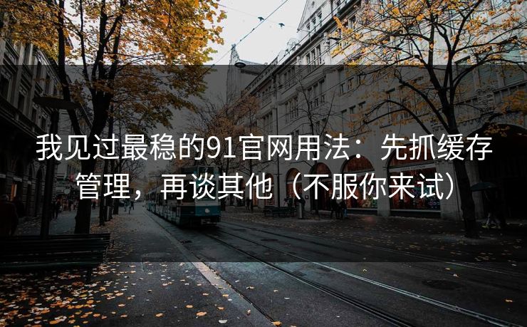 我见过最稳的91官网用法：先抓缓存管理，再谈其他（不服你来试）